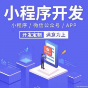 小程序开发、电商APP、教育APP、电力监控、商城开发